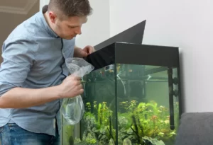 Как перевезти аквариум без повреждений